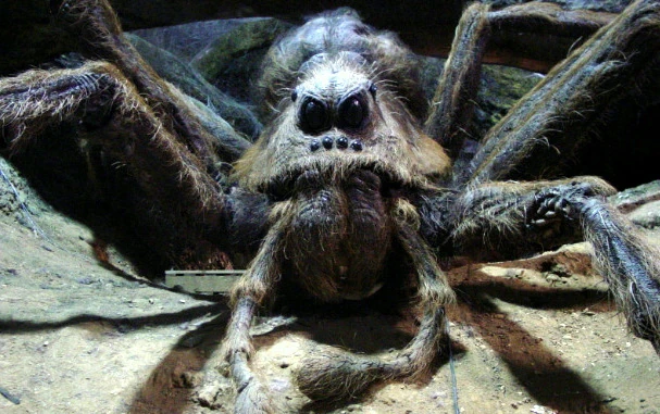 Acromantulas, makhluk mitologi berupa laba-laba raksasa diklaim berasal dari Kalimantan.