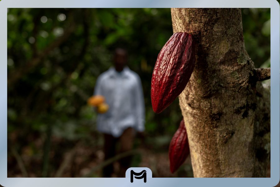 cokelat tani