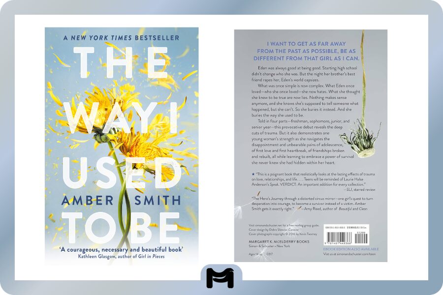 Review Novel The Way I Used to Be Karya Amber Smith