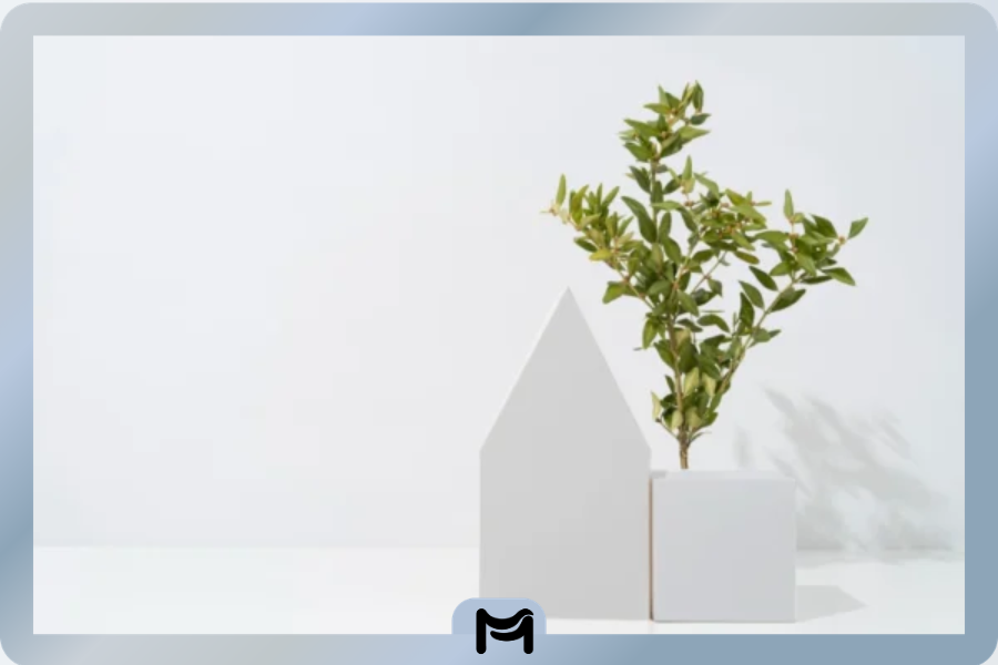 Eco Minimalism